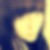 Profilbild von Isabel Leitner