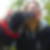 Profilbild von Heike Heuser