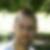 Profilbild von Rene Weck
