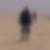 Profilbild von Peter Thesing