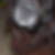 Profilbild von Thomas Lublow