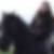 Profilbild von Sylvia Gerling