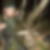 Profilbild von Thomas , Helmut Buse