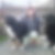 Profilbild von Gaby Heinrichs