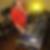 Profilbild von Andreas Foth