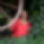 Profilbild von Christine Graube