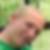 Profilbild von Maik Hoppe