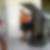 Profilbild von Marlis Mahder