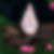 Profilbild von Astrid Senior