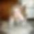 Profilbild von Christina Klisch