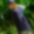 Profilbild von Thomas Greiner