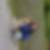 Profilbild von Doreen Fischer