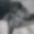 Profilbild von Birgit Ishorst