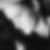 Profilbild von Denise Walter