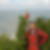 Profilbild von Michael Liell