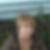 Profilbild von Antje Müller