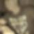 Profilbild von Wilfried Hinrichs
