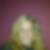 Profilbild von Birgitt Rohde