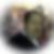 Profilbild von Robert Alois Dahm