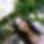 Profilbild von Doreen Kinne