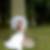 Profilbild von Geraldine Grasse