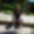Profilbild von Sandra Lindmayer