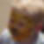 Profilbild von Christian Aßmus