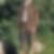 Profilbild von Nico Drewelow