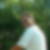 Profilbild von Harald Pritza