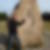 Profilbild von Fred Behrendt