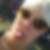 Profilbild von Kitty Samtpfote