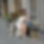 Profilbild von Angela Sturm