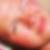 Profilbild von Elke Noll