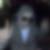 Profilbild von Daniel Flemming