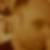 Profilbild von Chris Scott