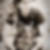 Profilbild von Seka Tokic
