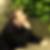 Profilbild von Jens Affeld