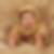 Profilbild von Michael Schranz