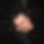 Profilbild von Steven Haas