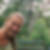 Profilbild von Stefan Seibold