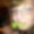 Profilbild von Mandy Naumann