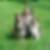 Profilbild von Siglinde Schmidt-Spies