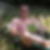 Profilbild von Benito Romeo