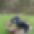Profilbild von Volker Sterzing