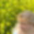 Profilbild von Hilke Hahn-Wolff