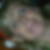 Profilbild von Birgit Anders