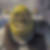 Profilbild von Dirk Recknagel
