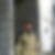 Profilbild von Dietmar Max Luding