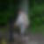 Profilbild von Frank Neubert