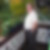 Profilbild von Bruno Zupp